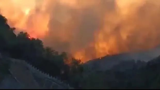 山火SOS，“十八般武艺”的TA们请求出战
