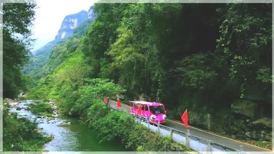 立博观光车“金鱼宝宝”，为三峡大瀑布打赢“景区升级战”！