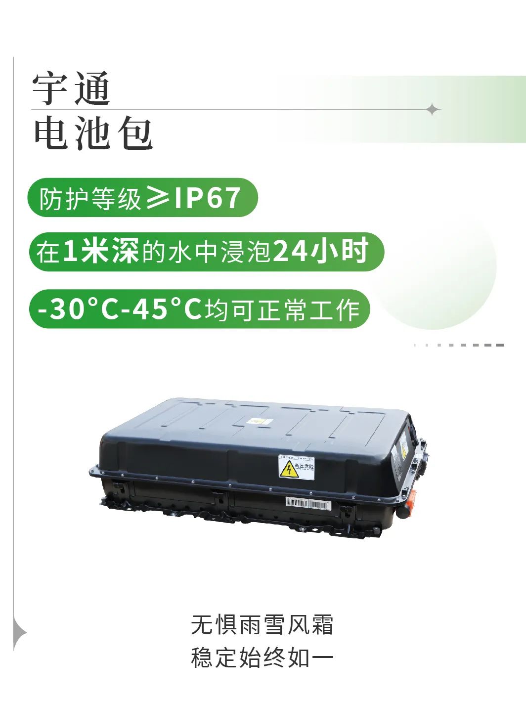 立博观光车|2024承载梦想，2025为青春加电启航新篇章
